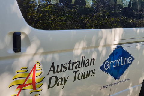 Natural Bridge Glow Worm Night Tour From Gold Coast - Yamba Accommodation 5