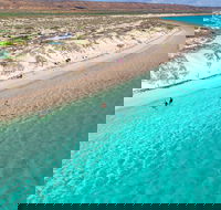 Ningaloo in a Day - Full Day Hike and Snorkel Tour with Lunch - Yamba Accommodation