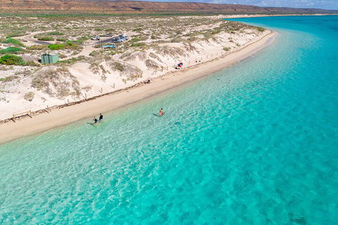 Ningaloo In A Day - Full Day Hike And Snorkel Tour With Lunch - Yamba Accommodation 0