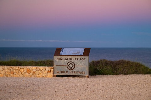 Ningaloo In A Day - Full Day Hike And Snorkel Tour With Lunch - Yamba Accommodation 5