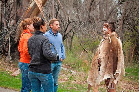 Blue Mountains Tour From Sydney With An Aboriginal Experience - Yamba Accommodation 3