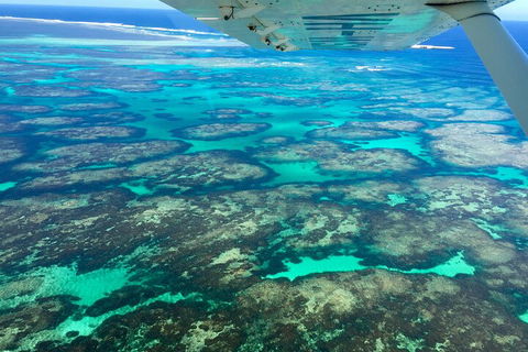 Shipwreck Special Full Day Tour Of The Abrolhos Islands - Yamba Accommodation 1