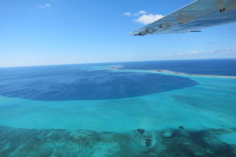 Shipwreck Special Full Day Tour Of The Abrolhos Islands - Yamba Accommodation 2