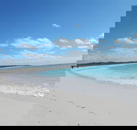 Shipwreck Special Nature Tour/Half Day Tour - Yamba Accommodation