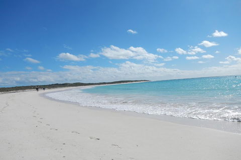Shipwreck Special Nature Tour/Half Day Tour - Yamba Accommodation 0