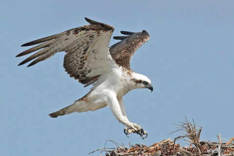Shipwreck Special Nature Tour/Half Day Tour - Yamba Accommodation 4