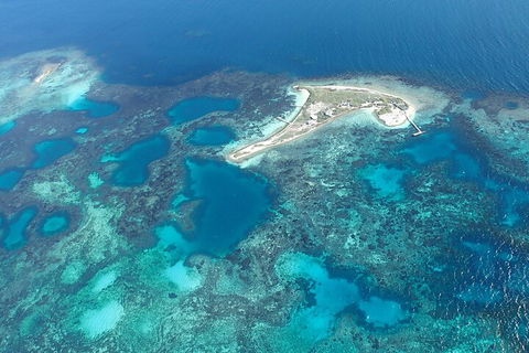 Shipwreck Special Nature Tour/Half Day Tour - Yamba Accommodation 5