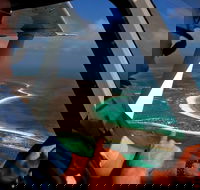 Abrolhos Islands Fixed-Wing Scenic Flight - Yamba Accommodation