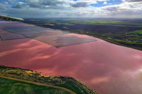 Kalbarri, Pink Lake And Abrolhos Islands Nature Tour - Yamba Accommodation 1