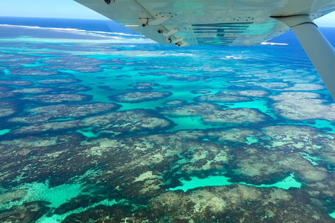 Kalbarri, Pink Lake And Abrolhos Islands Nature Tour - Yamba Accommodation 5