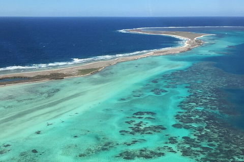Pink Lake + Abrolhos Islands Nature Tour - Yamba Accommodation 2