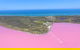 Pink Lake + Abrolhos Islands Nature Tour - thumb 4