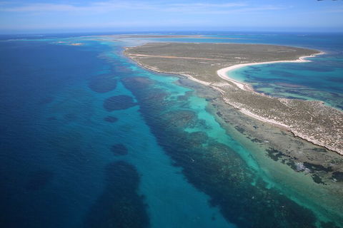 Pink Lake + Abrolhos Islands Scenic Flight - Yamba Accommodation 0