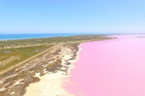 Pink Lake + Abrolhos Islands Scenic Flight - Yamba Accommodation 4