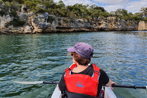 Cliffs And Caves Kayak Tour In Swan River - Yamba Accommodation 0