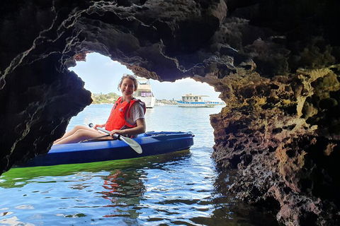 Cliffs And Caves Kayak Tour In Swan River - Yamba Accommodation 1