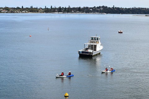 Cliffs And Caves Kayak Tour In Swan River - Yamba Accommodation 2