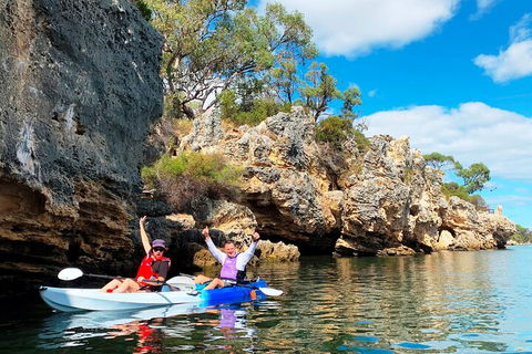 Cliffs And Caves Kayak Tour In Swan River - Yamba Accommodation 3