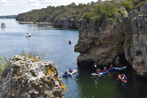 Cliffs And Caves Kayak Tour In Swan River - Yamba Accommodation 5