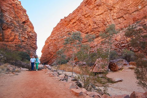 Best Of Alice Springs Full Day Tour - Yamba Accommodation 1