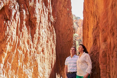 Best Of Alice Springs Full Day Tour - Yamba Accommodation 4