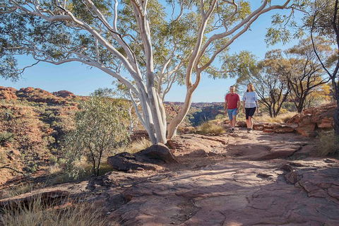 3-Day Tour From Uluru (Ayers Rock) To Alice Springs Via Kings Canyon - Yamba Accommodation 1