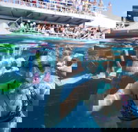 Great Barrier Reef Day Cruise from Cairns Including Snorkeling and Marine Biologist Presentation - Yamba Accommodation