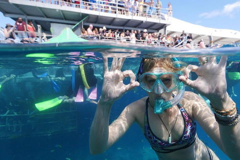 Great Barrier Reef Day Cruise From Cairns Including Snorkeling And Marine Biologist Presentation - Yamba Accommodation 0