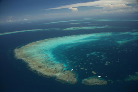 Great Barrier Reef Day Cruise From Cairns Including Snorkeling And Marine Biologist Presentation - Yamba Accommodation 1