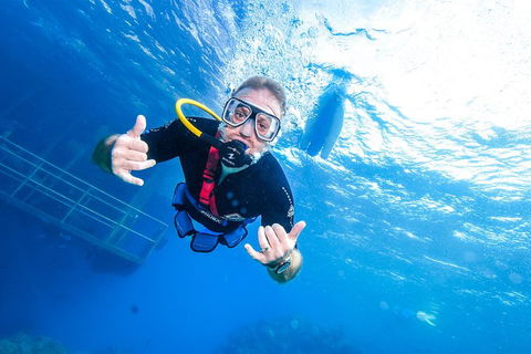 Great Barrier Reef Day Cruise From Cairns Including Snorkeling And Marine Biologist Presentation - Yamba Accommodation 3