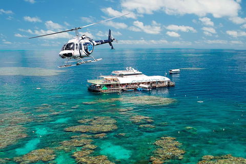 Great Barrier Reef Day Cruise From Cairns Including Snorkeling And Marine Biologist Presentation - Yamba Accommodation 5