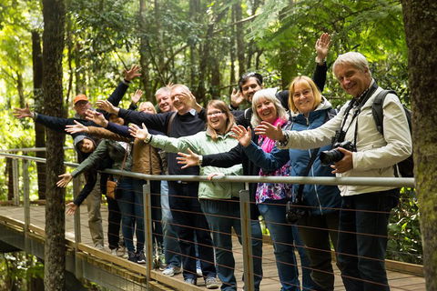All Inclusive Blue Mountains Small-Group Day Trip From Sydney - Yamba Accommodation 5