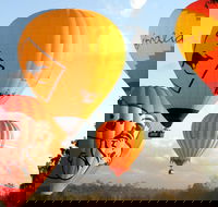 Natural Bridge  Springbrook Waterfalls Tour  Hot Air Balloon with Breakfast - Yamba Accommodation