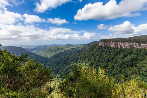 Natural Bridge & Springbrook Waterfalls Tour - Yamba Accommodation 1
