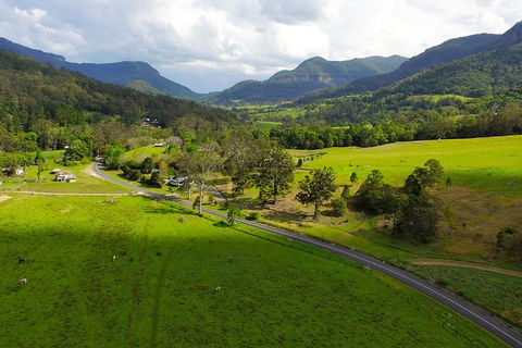 Natural Bridge & Springbrook Waterfalls Tour - Yamba Accommodation 2