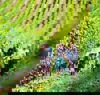 Tasmanian Wine Tour - Yamba Accommodation