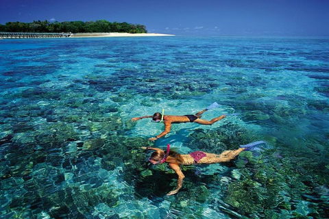 Green Island Day Trip From Cairns - Yamba Accommodation 5