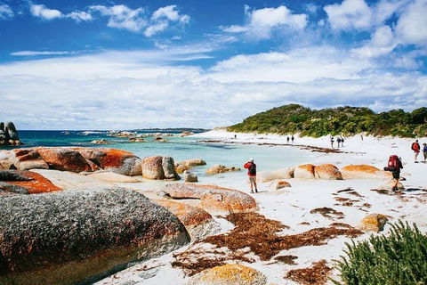 Wineglass Bay Private Charter Service - Yamba Accommodation 3