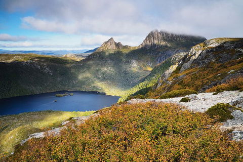 Cradle Mountain Private Charter Service - Yamba Accommodation 3