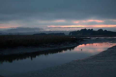 Launceston Private Charter Service - Yamba Accommodation 1