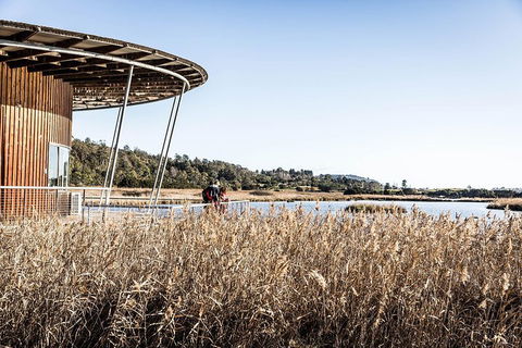 Launceston Private Charter Service - Yamba Accommodation 2