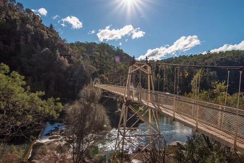 Launceston Private Charter Service - Yamba Accommodation 5