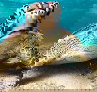 Sail Snorkel SUP  Kayak Charter Whitsundays - Yamba Accommodation