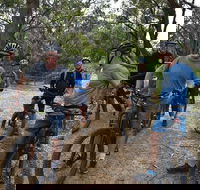 Fully guided E-Mountain Bike Tour on the beautiful Mornington Peninsula. - Yamba Accommodation