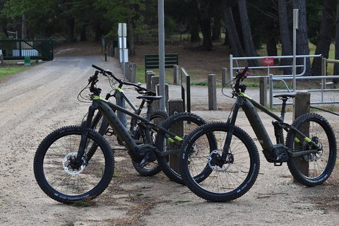 Fully Guided E-Mountain Bike Tour On The Beautiful Mornington Peninsula. - Yamba Accommodation 2