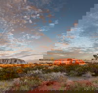 Uluru Kata Tjuta and Kings Canyon Camping Safari from Alice Springs - Yamba Accommodation