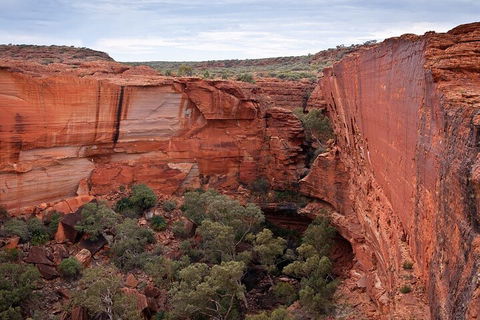 Uluru, Kata Tjuta And Kings Canyon Camping Safari From Ayers Rock - Yamba Accommodation 1