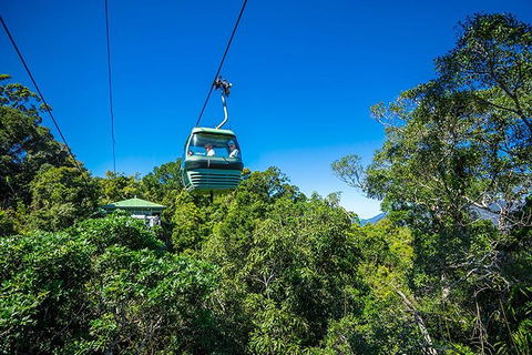Skyrail Rainforest Cableway Day Trip From Cairns - Yamba Accommodation 1