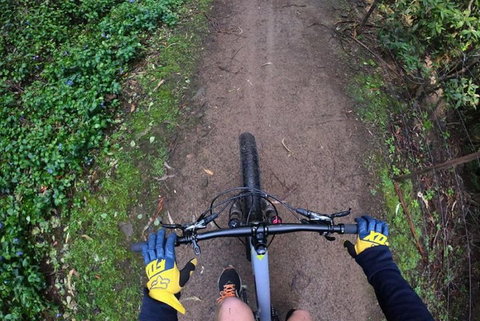 Explore Downhill Mountain In 3-Hour Bike Tour From Hobart - Yamba Accommodation 2