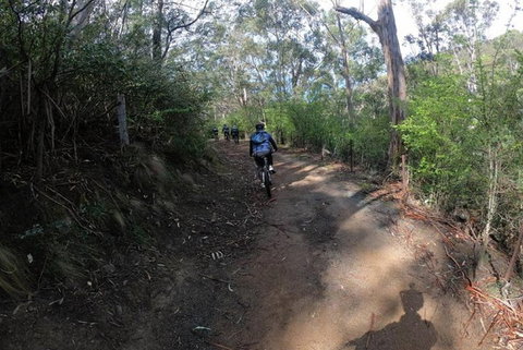 Explore Downhill Mountain In 3-Hour Bike Tour From Hobart - Yamba Accommodation 3